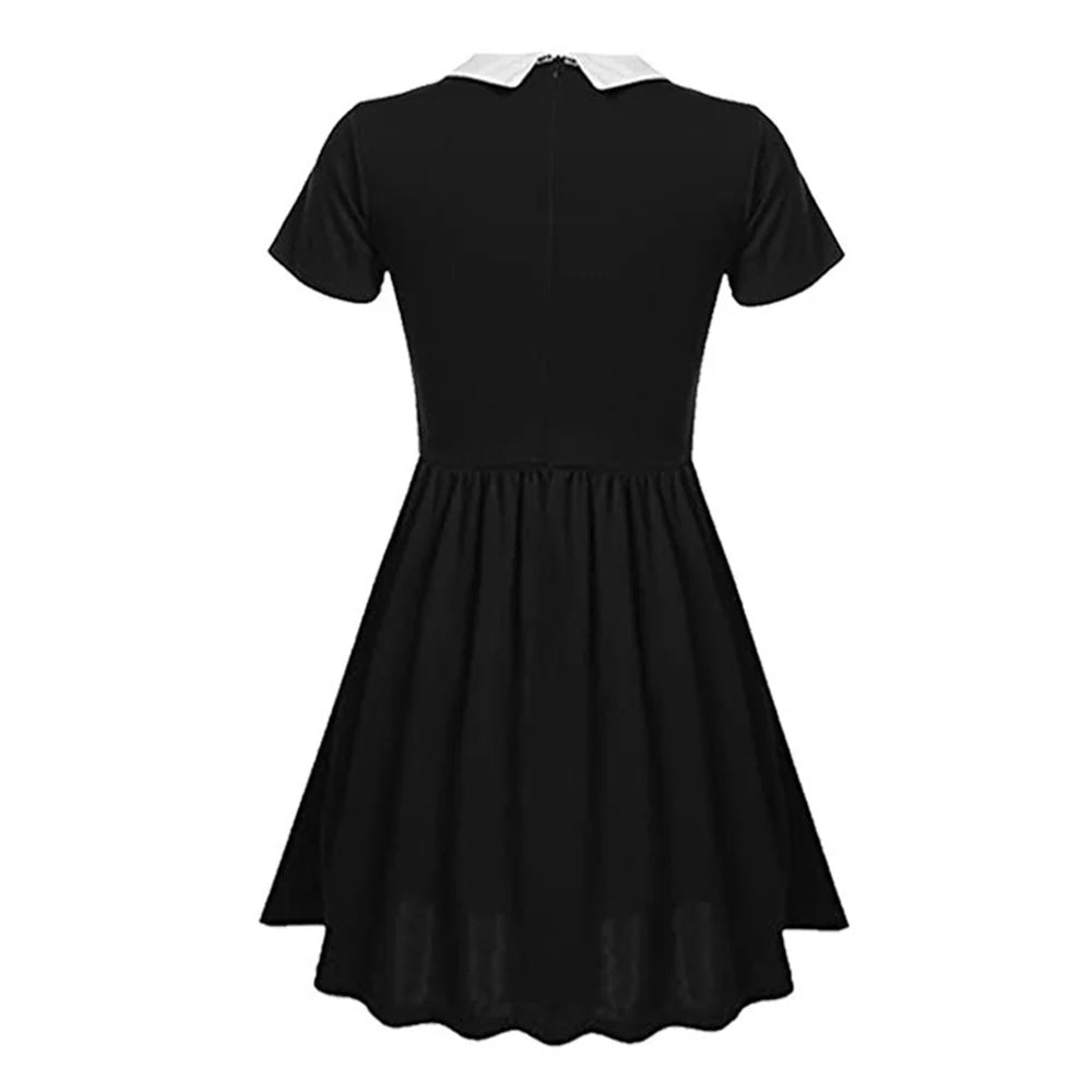 img_2611908