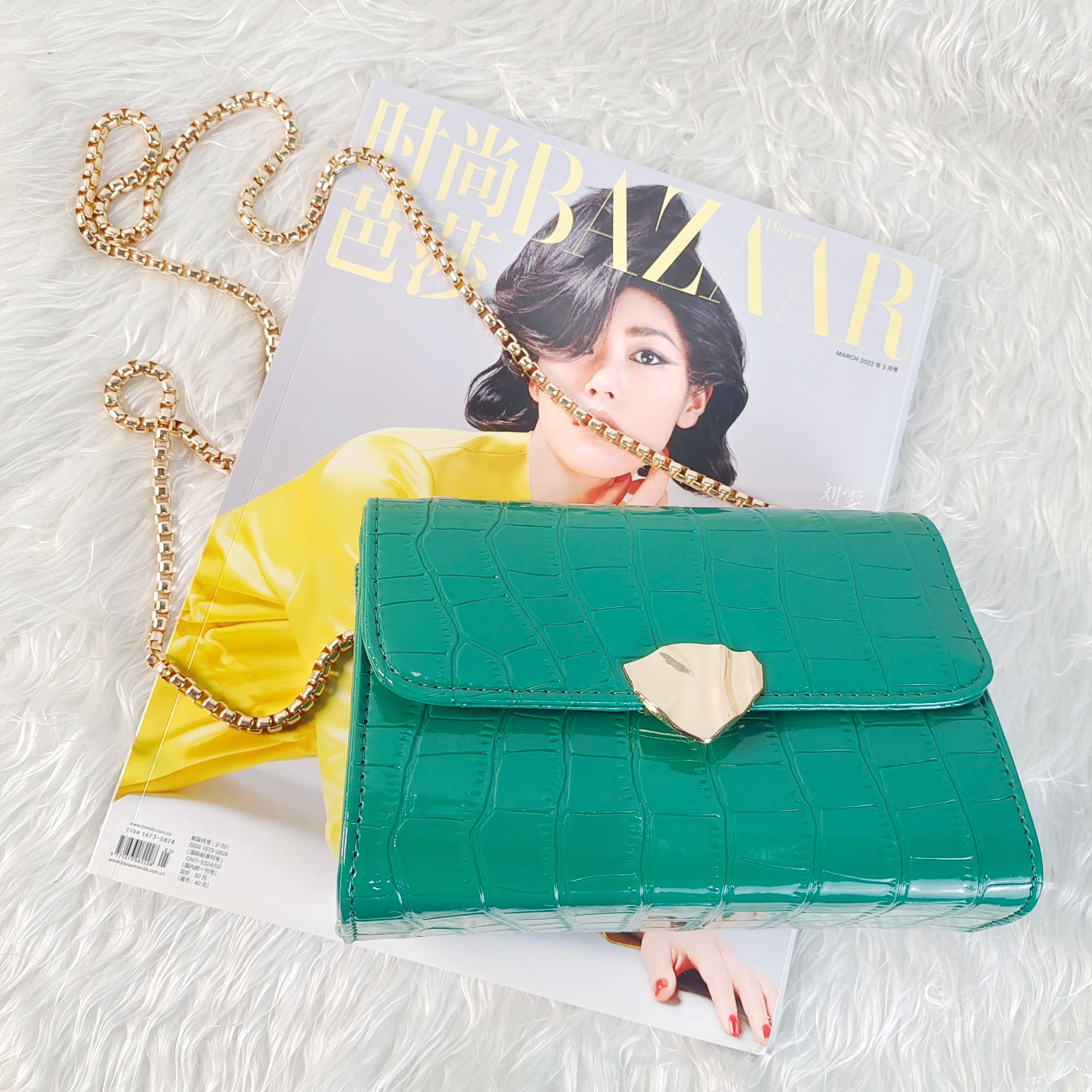 Chain Shoulder Crossbody Bag Purse for Women