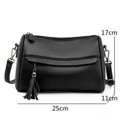 Small Leather Handbag Cross Body Messenger Bag for Women
