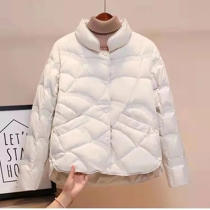 img_2464714