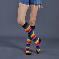 img_2517398