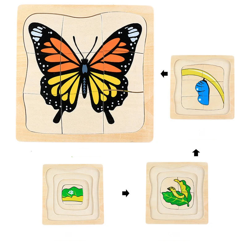 img_2768905