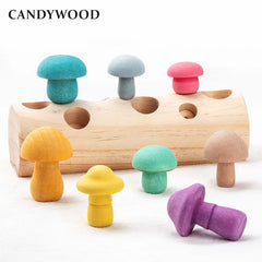 img_2789319