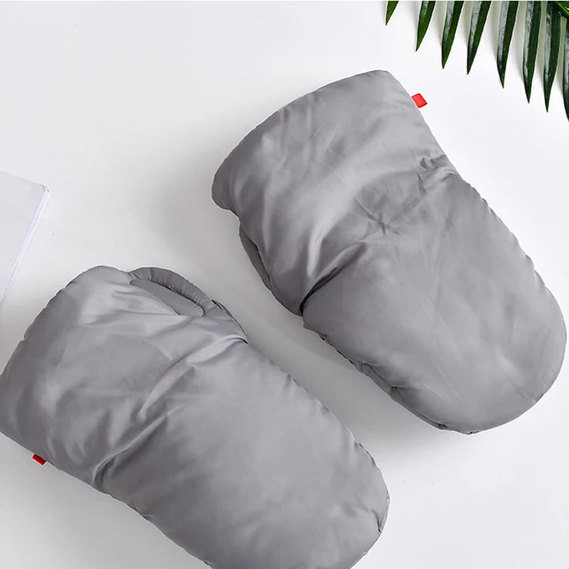 img_1371246