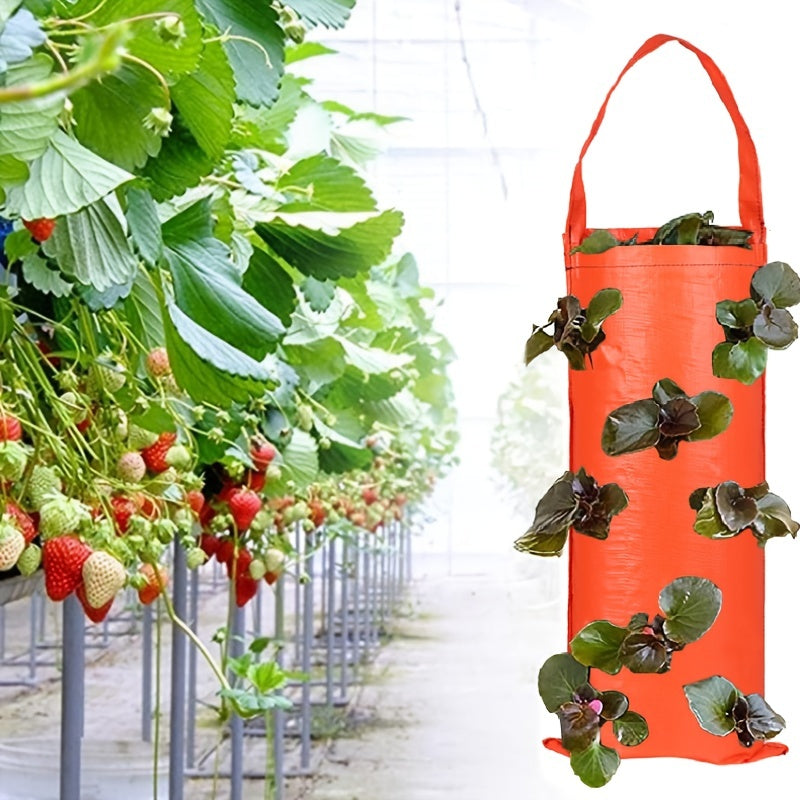 Vertical Grow Bag for Strawberries and Vegetables