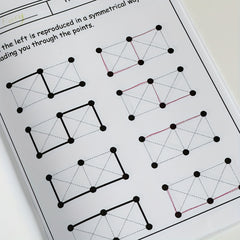 Mirror Line Segment Practice Workbook for Kids
