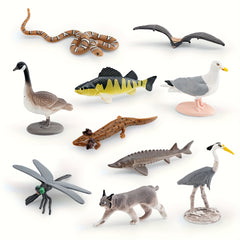 Realistic North American Wildlife Animal Model Set