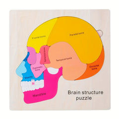 Wooden Brain Anatomy Puzzle for Kids Educational Toy