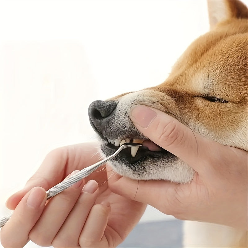 Pets Teeth Cleaning Tools Dental Stones Stainless Steel Scraper