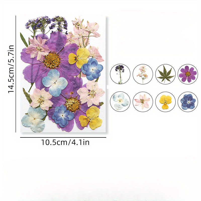 DIY Pressed Flowers Kit - Create Unique Crafts with 19pcs Dried Flowers