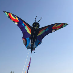 3D Butterfly Kite Multicolor Animal Shape Outdoor Entertainment