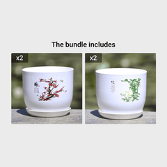 PP Resin Indoor Flower Pot Ideal For Succulents & Clivia