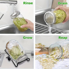 Stainless Steel Mesh Lid Sprouting Kit for Homegrown Sprouts
