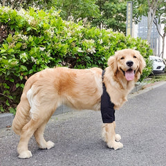 Dog Elbow Coat Anti ash Joint Protective Sleeve Wear Dog Leg Protector Pet Knee