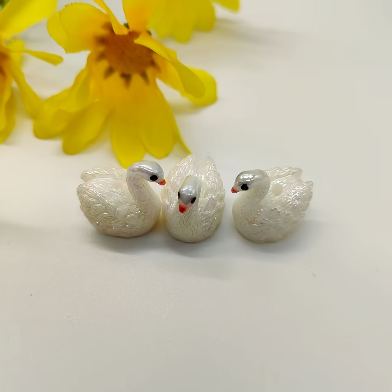 img_11211641