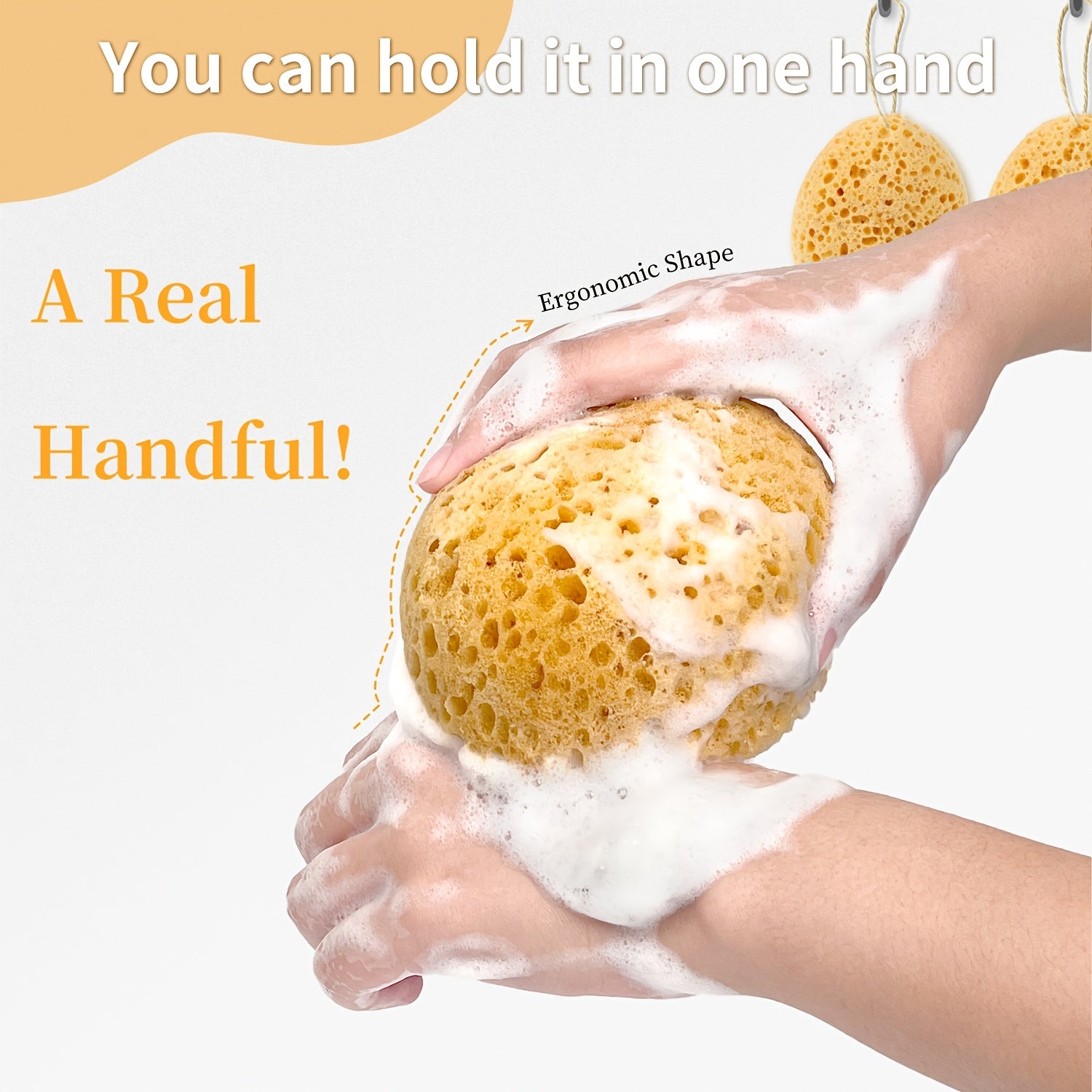 img_12331412