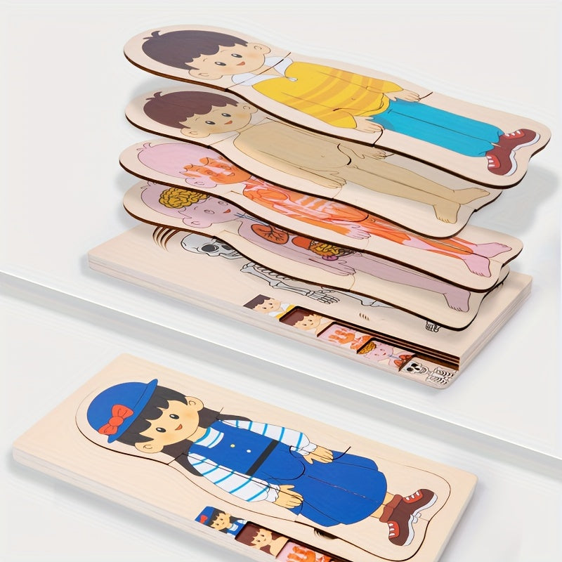 Human Body Structure Wooden Puzzle Children's Toy