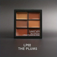 6 Lipstick Palette Matte & Shimmer Finish Nude Red Plum