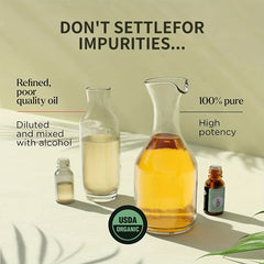 Organic Essential Oils Gift Set - 10 Pack Aromatherapy Kit