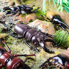 12pcs Insect Animal Model Set Beetle Unicorn Decoration Puzzle Teaching