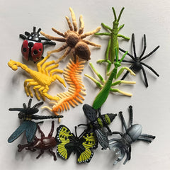 Colorful Insect Models 12pcs Spider Ladybug Beetle Ornaments