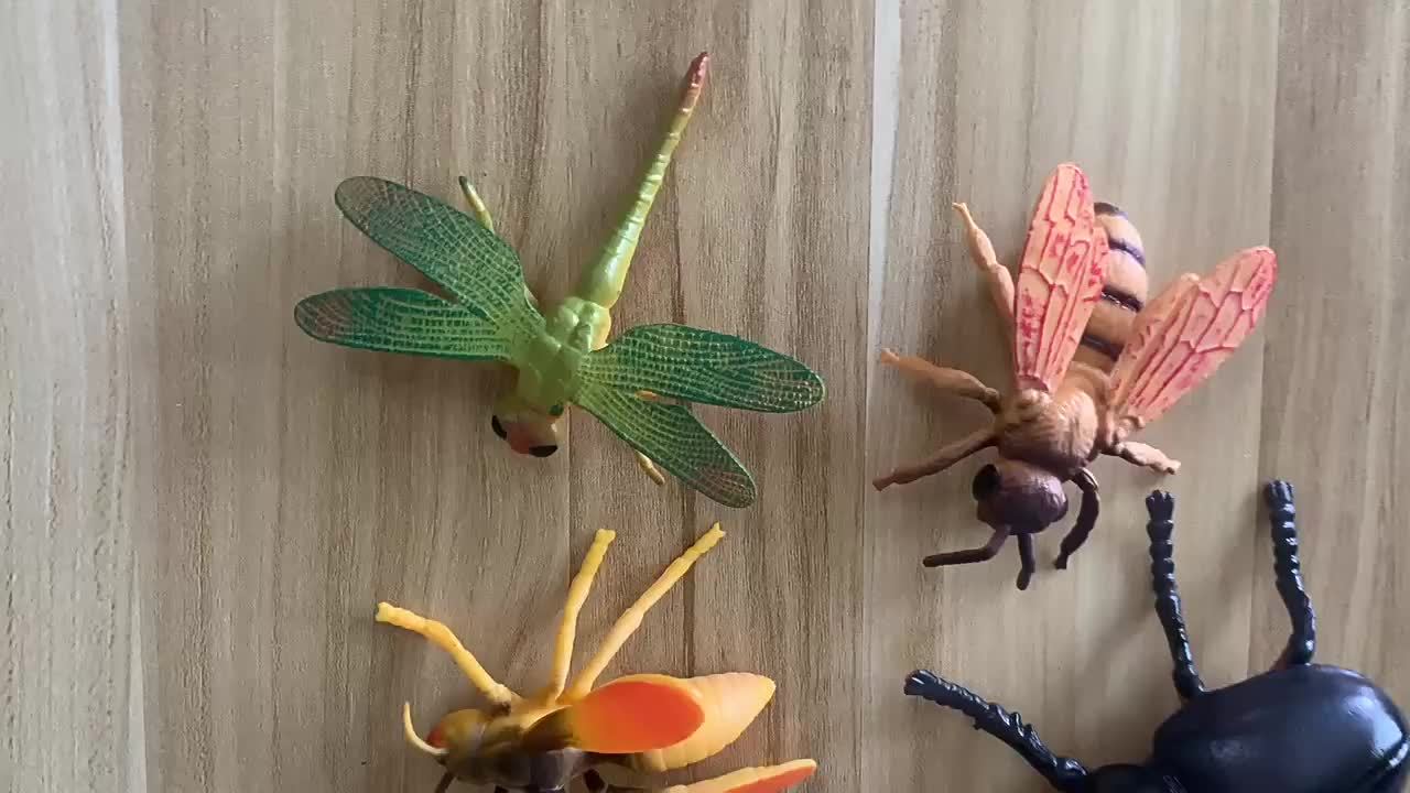 Realistic Insect Toy Models - Prank Toys Spider Butterfly Dragonfly