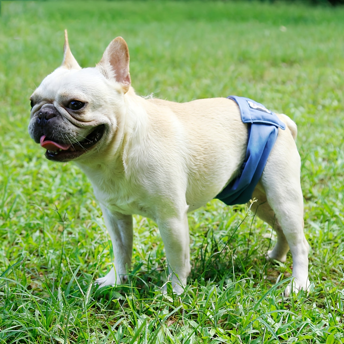 Anti Harassment Dog Diapers for Male Pets