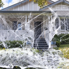 Halloween Spider Web Decoration