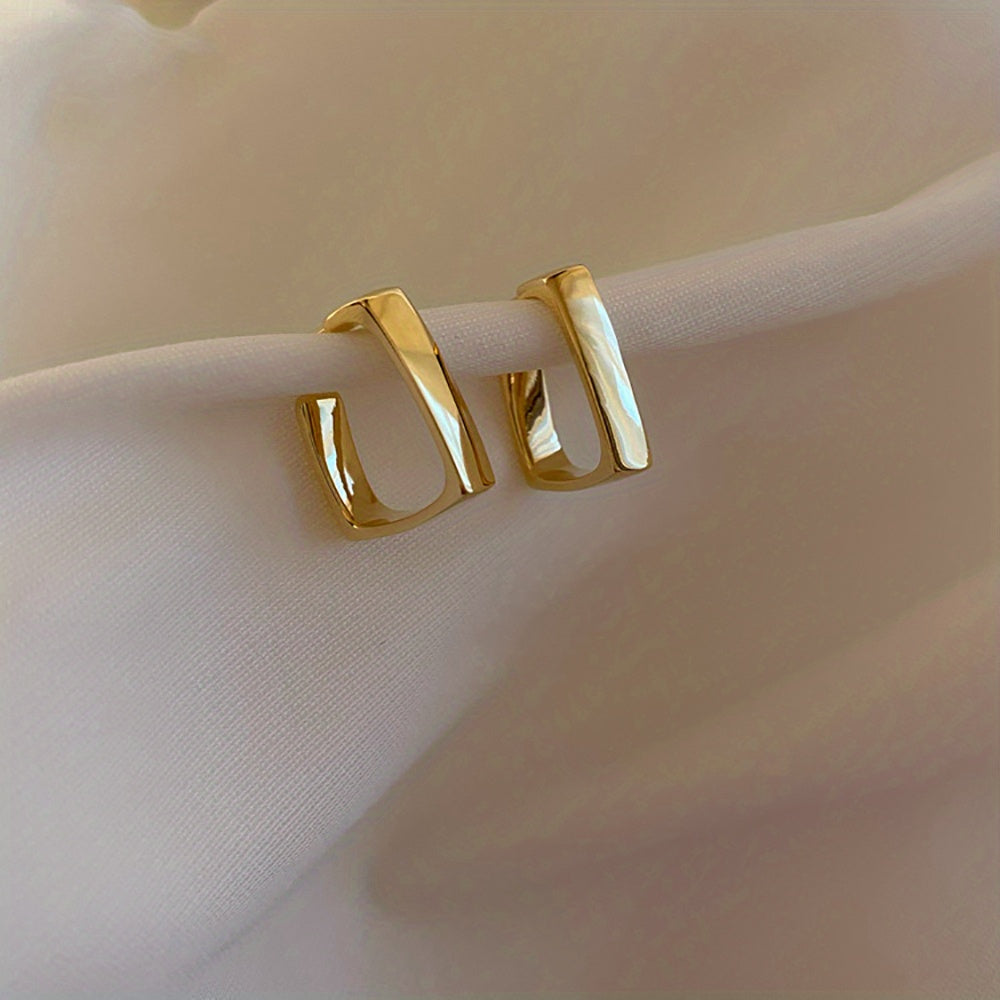 Irregular Geometric Metal Earrings for Women Jewelry Gift