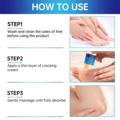 img_13079997