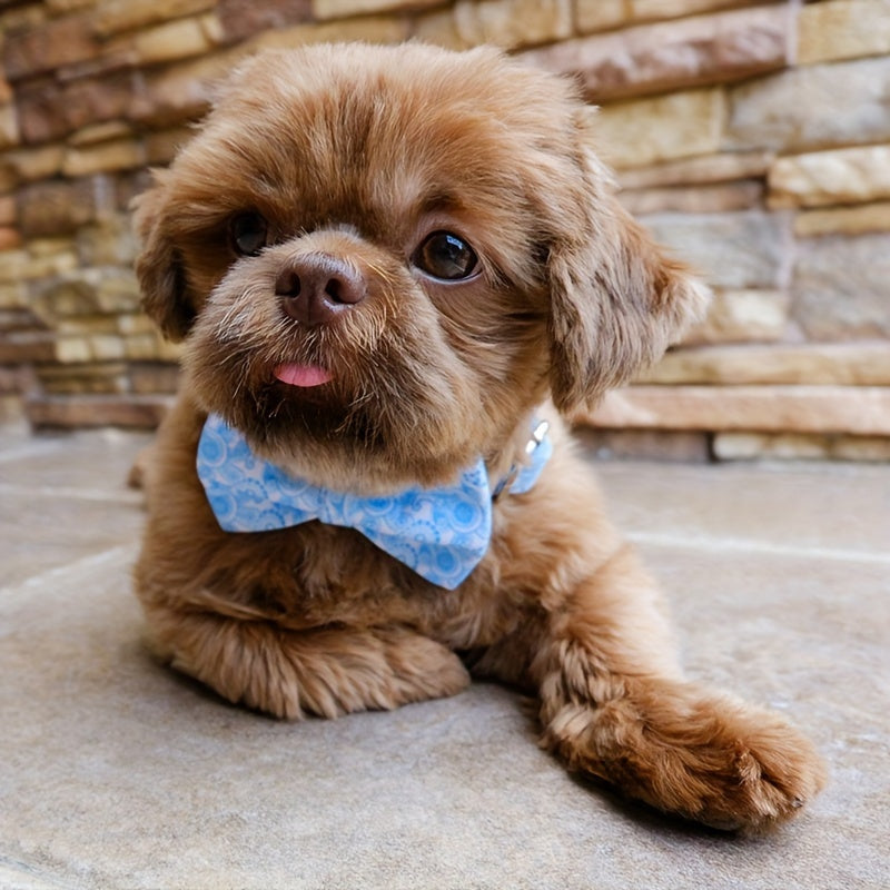 img_4099831