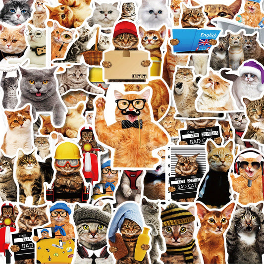 50pcs Realistic Cat Stickers Waterproof Vinyl Stickers Funny Kitten Face Decals