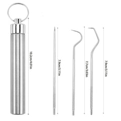 Portable Stainless Steel Toothpick Set with Stand & Bag