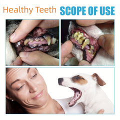 Minty Fresh Dog Toothpaste for Clean Teeth