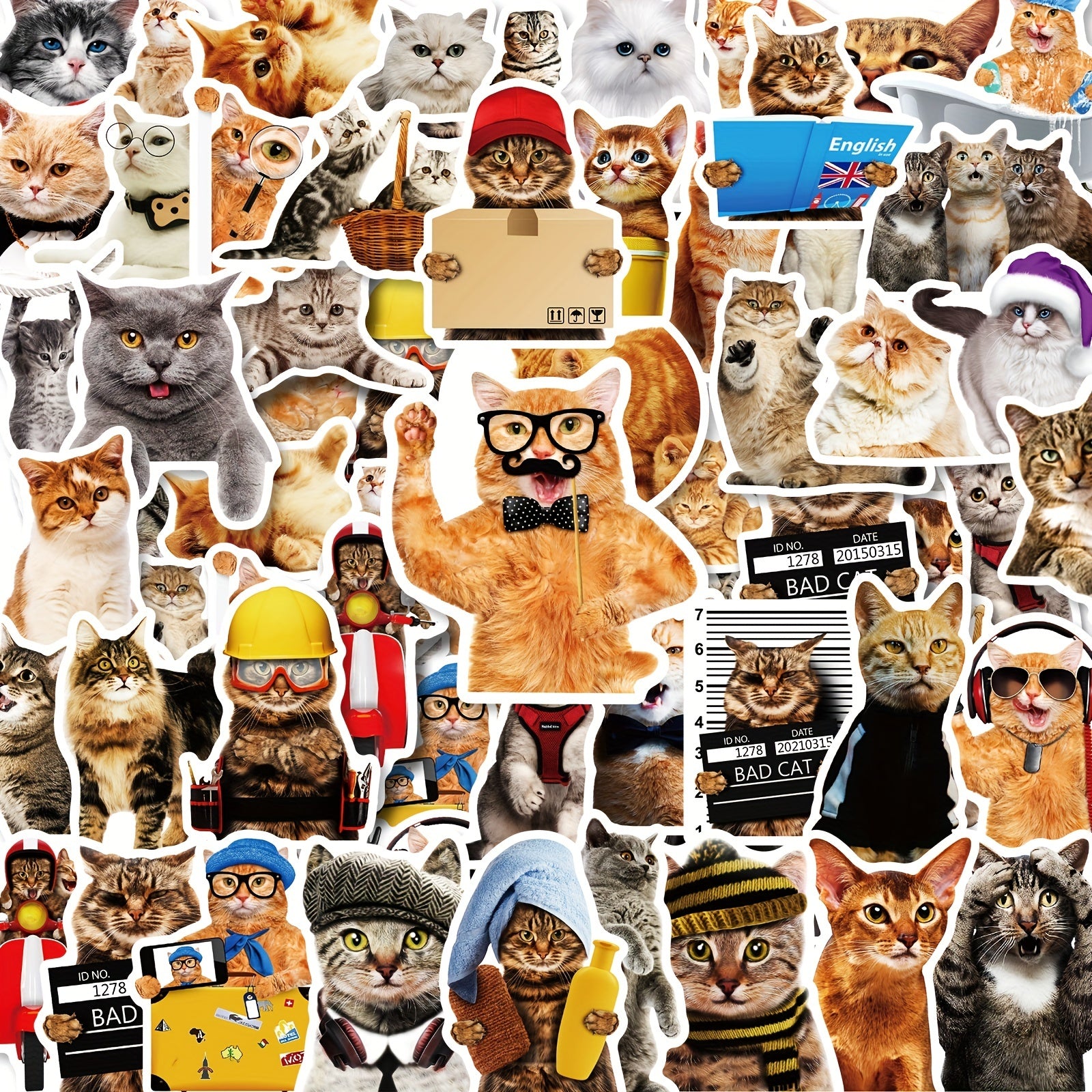 50pcs Realistic Cat Stickers Waterproof Vinyl Stickers Funny Kitten Face Decals