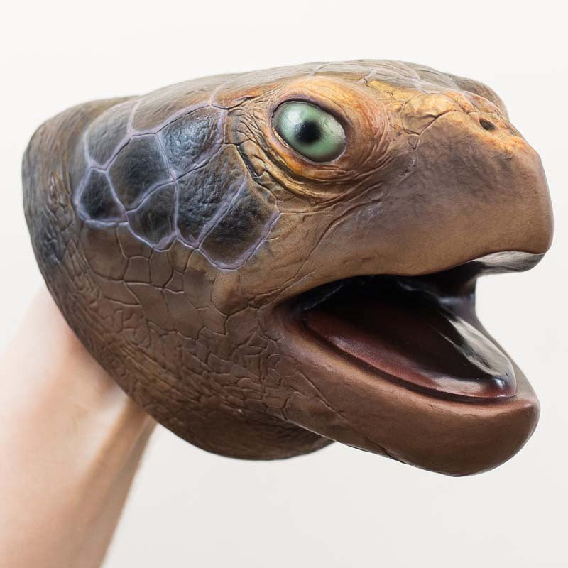 Wild Thingz Sea Turtle Hand Puppet