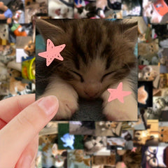 63pcs Cat Stickers High-Quality Adhesive Decals for Laptop Phone Car Planner