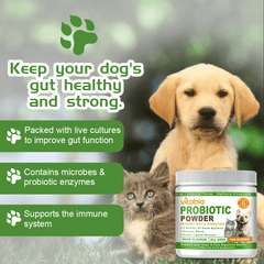 img_5325170