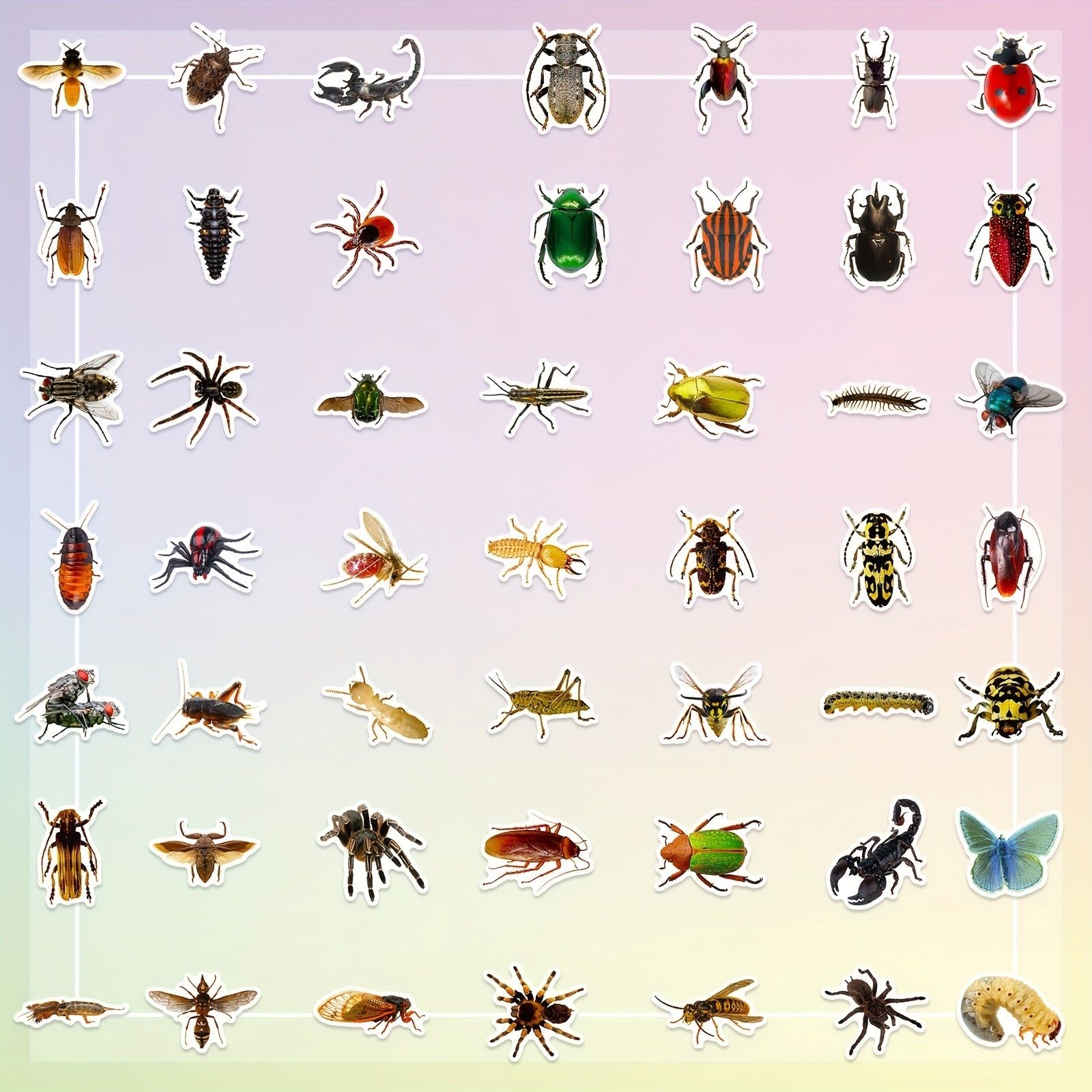 50pcs Insect Vinyl Stickers Waterproof Pack for Water Bottle Laptop Phone