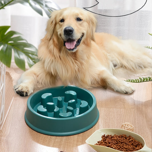 Pet Slow Feeder Bowl Set for Dogs and Cats