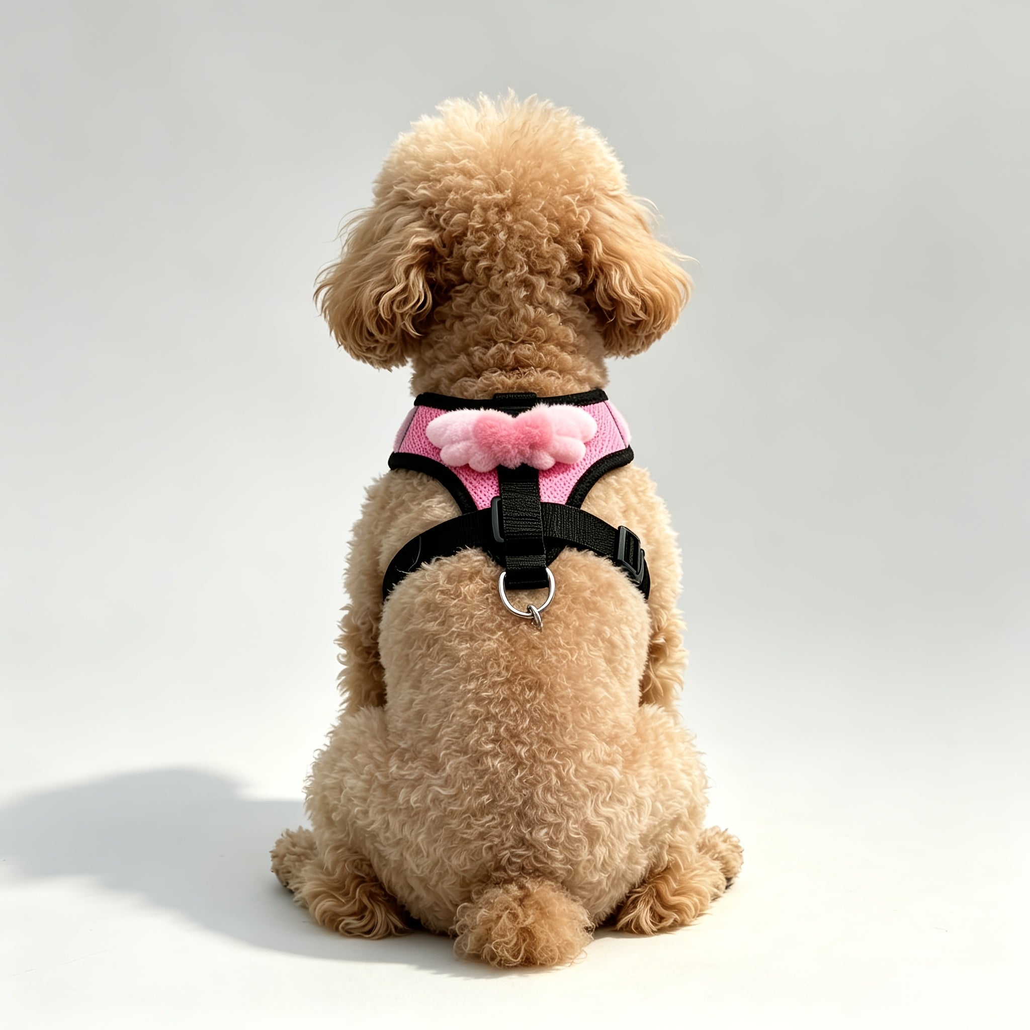 img_5536944