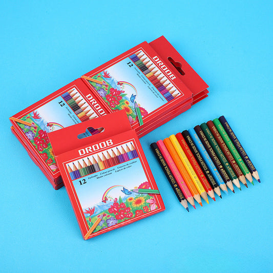 432 Short Pencils 12 Colors Painting Graffiti Art Colored Professional Art Use