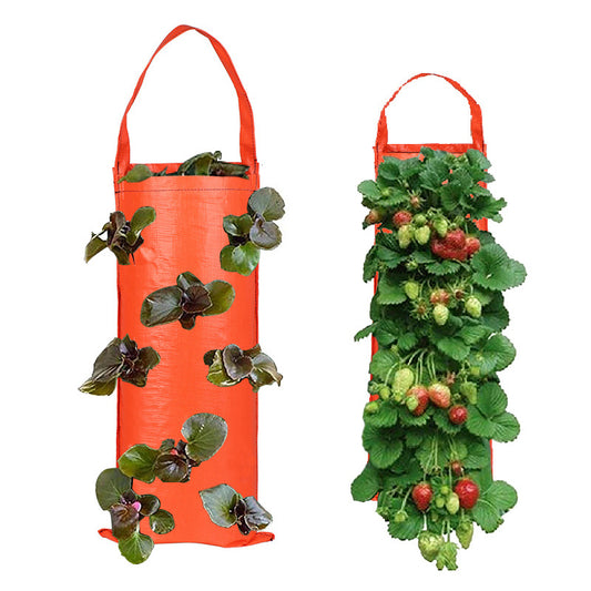Vertical Grow Bag for Strawberries and Vegetables