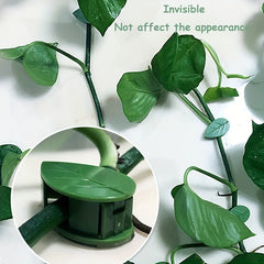 Invisible Plant Climbing Wall Fixture Rattan Vine Bracket Fixed Buckle