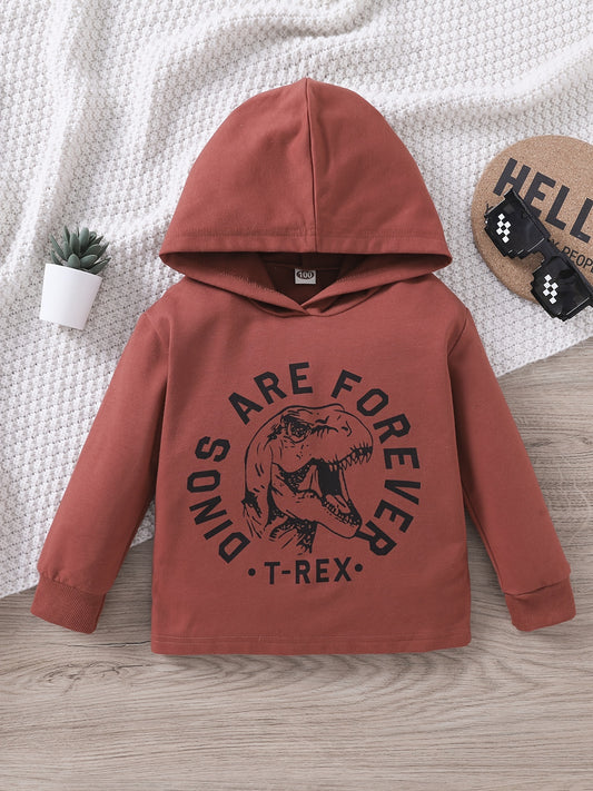 Boys Dinosaur Hoodie Sweatshirt Top Kids Clothes