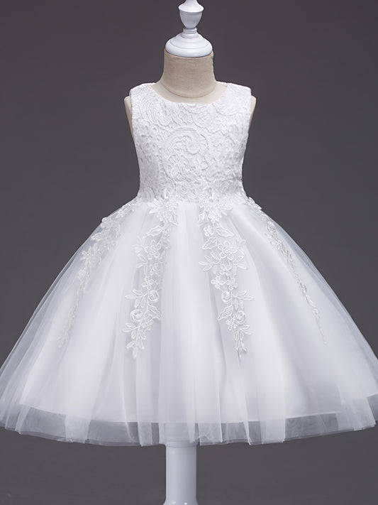 Girls Sleeveless Princess Tutu Dress Flowers Embroidery Tulle Performance Dress