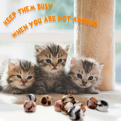 img_5381019
