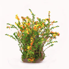 1 57inch Mini Craft Artificial Bush Flower Fairy Garden Home Houses Decoration
