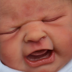 19 Inch Reborn Baby Doll with 3D Skin Painted Hair Visible Veins