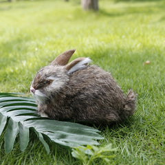 Easter Bunny Decorations Sitting Rabbits in Brown or with Expressive Eyes